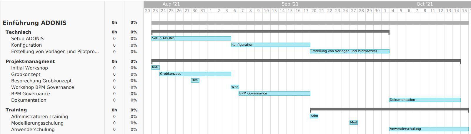 ADONIS Einfuehrungsplan Gantt