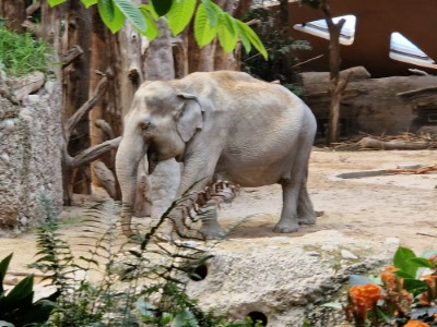 Danke Zoo Zürich