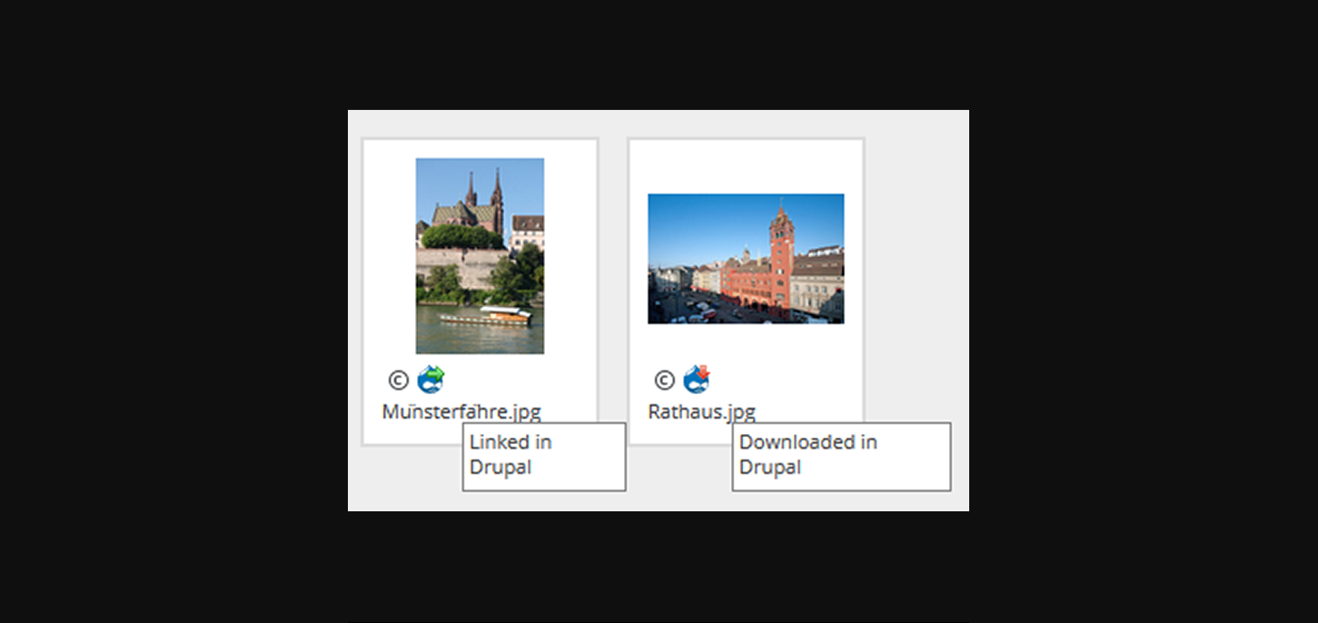 Downloaded oder verlinkte Assets von Drupal