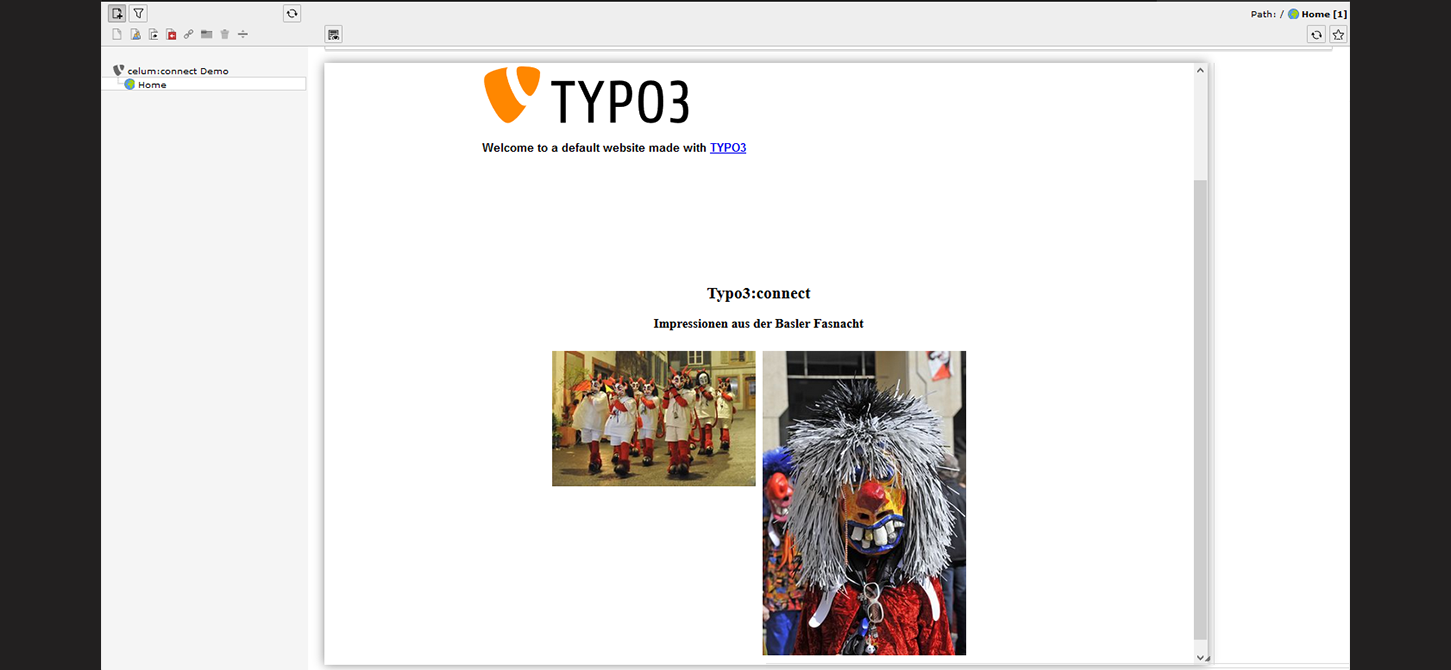 TYPO3: Publizierter Artikel