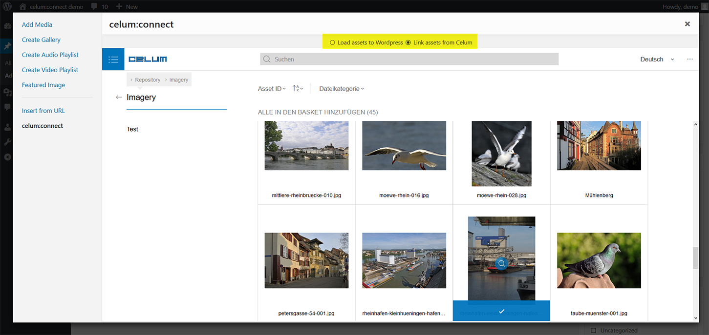 Asset Picker: Medien In WordPress laden oder aus Celum verlinken