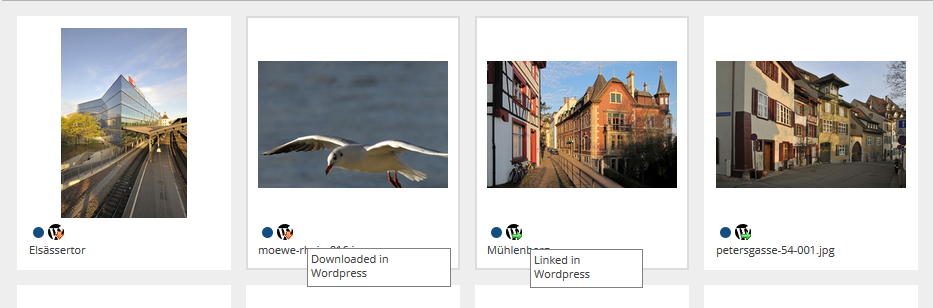 CELUM DAM: Downloaded oder verlinkte Assets von WordPress