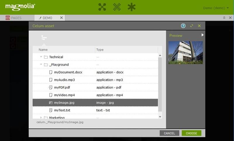 Magnolia choose Asset